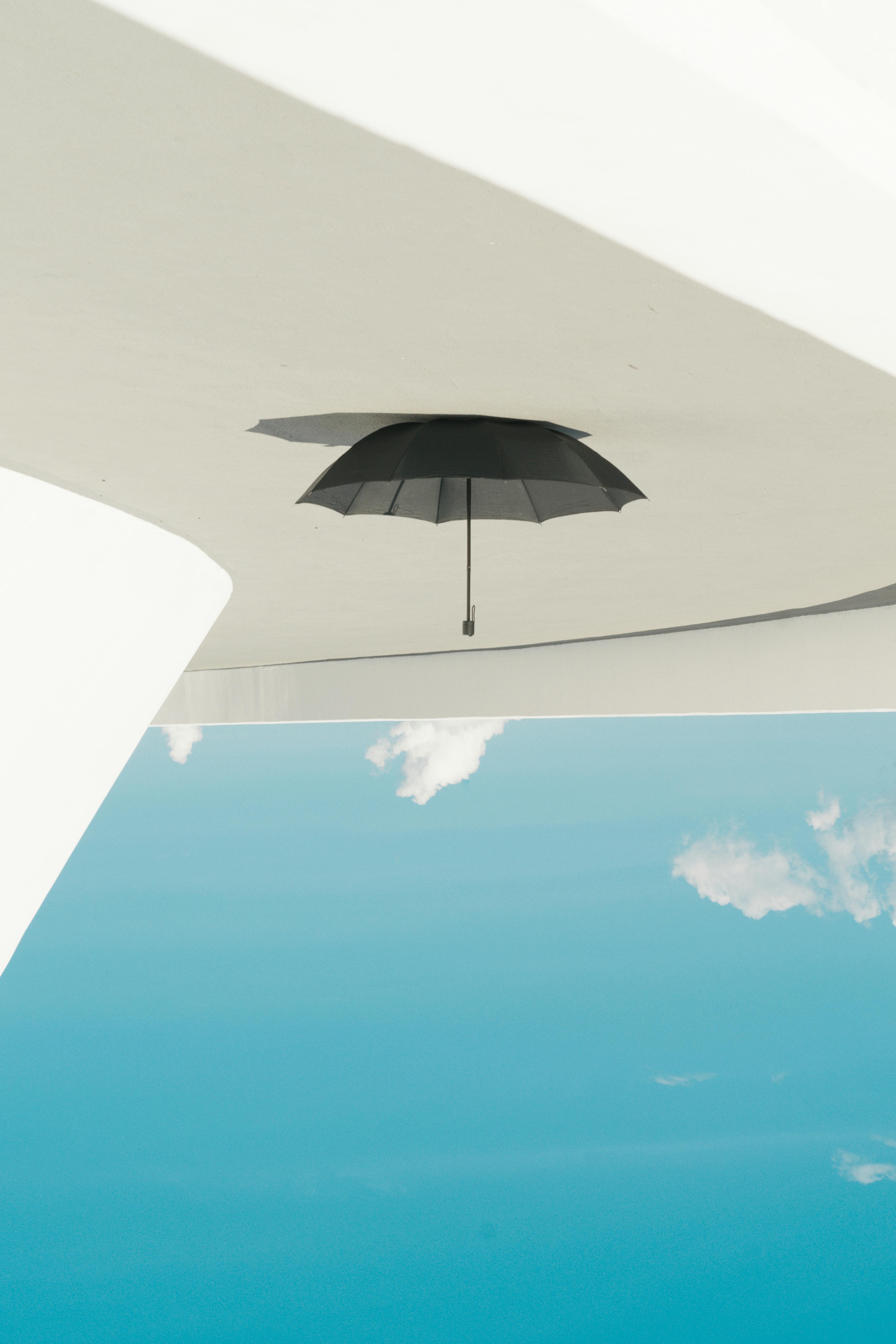 umbrella Umbrella